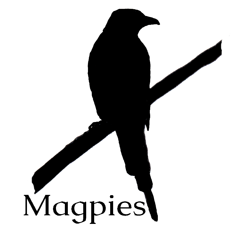 eurasian magpie – Birds of Ladakh